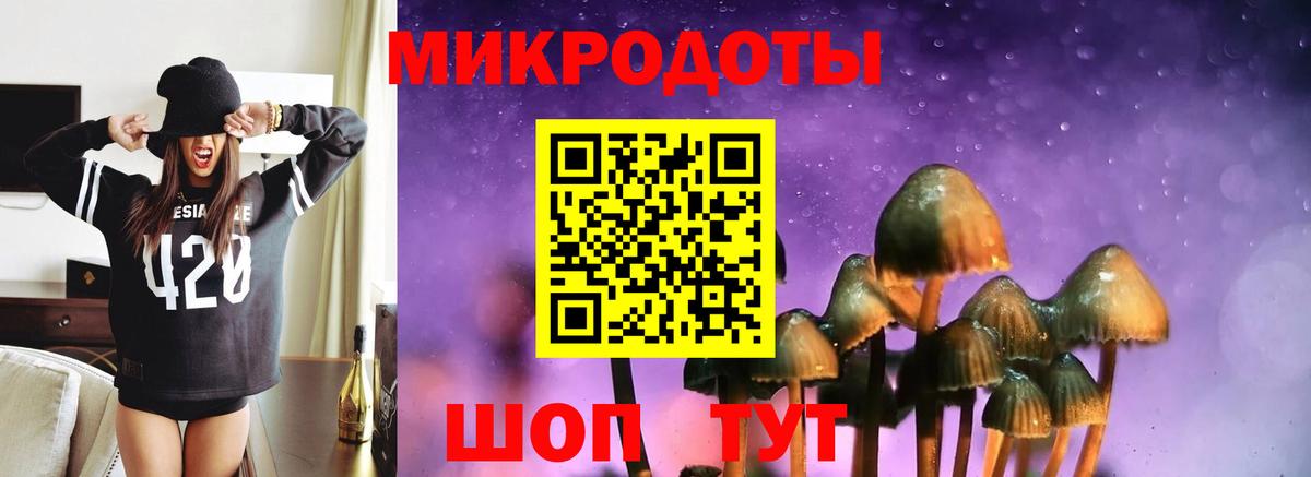 Кудрово  Псилоцибиновые грибы GOLDEN TEACHER  Вход с VPN 